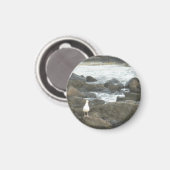 岩の上のカモメ マグネット (正面/裏面)