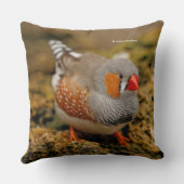 岩の上のゼブラフィンチソンバード クッション (裏面)