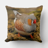 岩の上のゼブラフィンチソンバード クッション (正面)