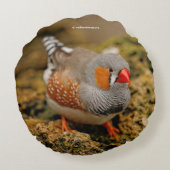 岩の上のゼブラフィンチ ラウンドクッション (裏面)