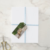 岩の上のチムンク ギフトタグ (より糸つき)