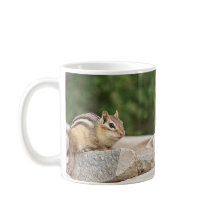 岩の上のチムンク