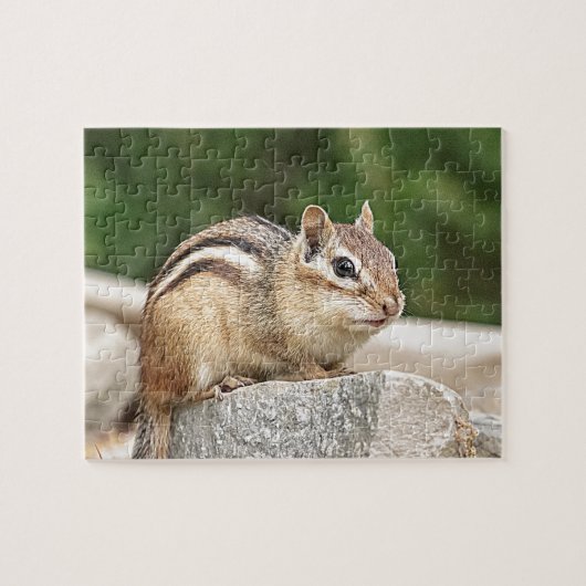 岩の上のチムンク ジグソーパズル (横)