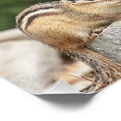 岩の上のチムンク フォトプリント (角)