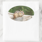 岩の上のチムンク 楕円形シール (バッグ)