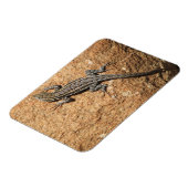 岩の上のトカゲ マグネット (左側)