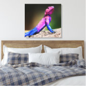 岩の上のムワンザの平たい頭のアガマ キャンバスプリント (インサイチュ (寝室))