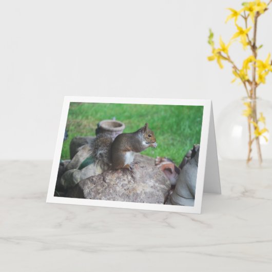 岩の上のリス カード (黄色い花)