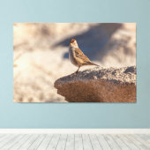 岩の上の削り雀 キャンバスプリント (インサイチュ (ウッドフロア))