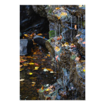 岩の上の小さな滝