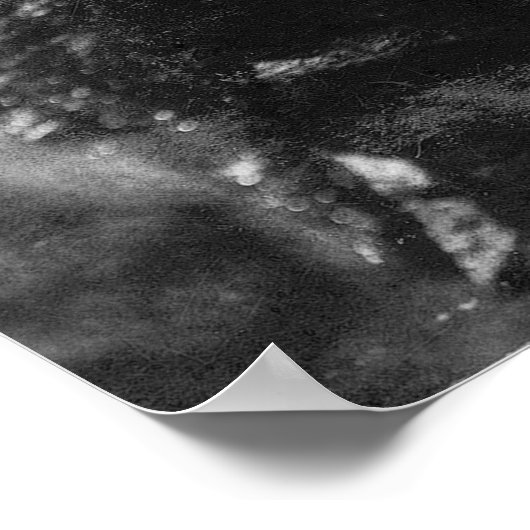 岩の上の泳ぐ人で打ち砕かれたサーフヴィンテージの女性 ポスター (角)