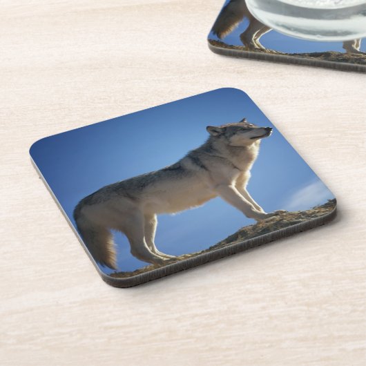 岩の上の狼 コースター (左側)