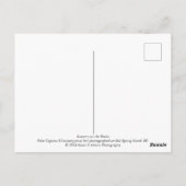 岩の上の秋 ポストカード (裏面)