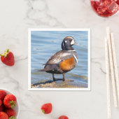 岩の上の美しいハーレクインアヒル スタンダードカクテルナプキン (インサイチュ)