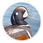 岩の上の美しいハーレクインアヒル セラミックノブ (正面)