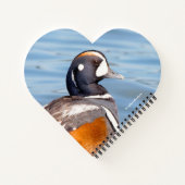 岩の上の美しいハーレクインアヒル ノートブック (裏面)