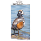 岩の上の美しいハーレクインアヒル フラスク (左)