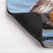 岩の上の美しいハーレクインアヒル マウスパッド (コーナー)