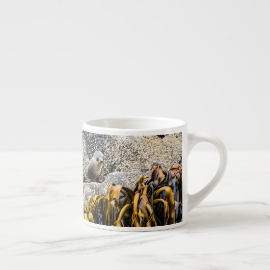 岩の上の若い毛皮のシール エスプレッソカップ (右)