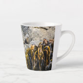 岩の上の若い毛皮のシール カフェラテマグ (右)