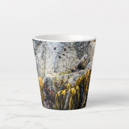 岩の上の若い毛皮のシール カフェラテマグ