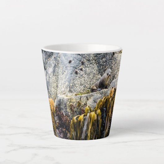 岩の上の若い毛皮のシール カフェラテマグ (正面)