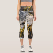 岩の上の若い毛皮のシール カプリレギンス (正面)