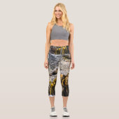 岩の上の若い毛皮のシール カプリレギンス (正面)