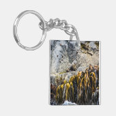 岩の上の若い毛皮のシール キーホルダー (正面左)