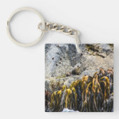 岩の上の若い毛皮のシール キーホルダー (正面)