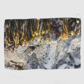 岩の上の若い毛皮のシール ゴルフタオル (横)