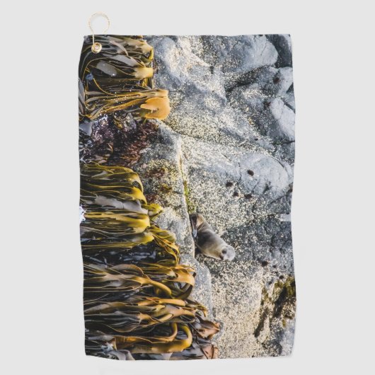 岩の上の若い毛皮のシール ゴルフタオル (正面)