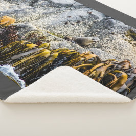 岩の上の若い毛皮のシール シェルパブランケット