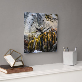 岩の上の若い毛皮のシール スクエア壁時計