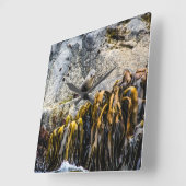 岩の上の若い毛皮のシール スクエア壁時計 (傾斜)