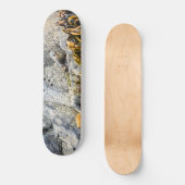 岩の上の若い毛皮のシール スケートボード (正面)