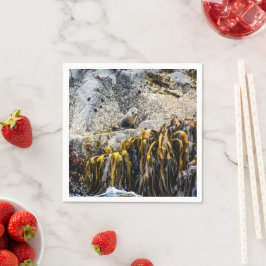 岩の上の若い毛皮のシール スタンダードカクテルナプキン