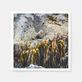 岩の上の若い毛皮のシール スタンダードカクテルナプキン (正面)