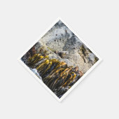 岩の上の若い毛皮のシール スタンダードカクテルナプキン (角)