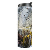 岩の上の若い毛皮のシール タンブラー (回転左)