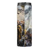 岩の上の若い毛皮のシール タンブラー (裏面)