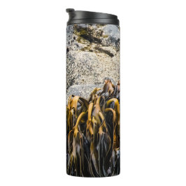 岩の上の若い毛皮のシール タンブラー