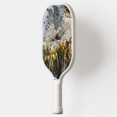 岩の上の若い毛皮のシール ピックルボールラケット (左)