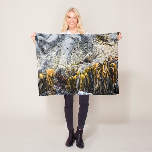 岩の上の若い毛皮のシール フリースブランケット (インサイチュ)