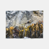 岩の上の若い毛皮のシール フリースブランケット (正面(横))