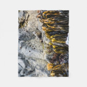 岩の上の若い毛皮のシール フリースブランケット (正面)