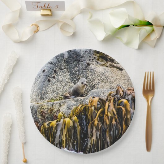 岩の上の若い毛皮のシール ペーパープレート (ウェディング)