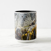 岩の上の若い毛皮のシール マグカップ (中央)