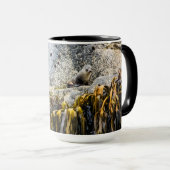 岩の上の若い毛皮のシール マグカップ (正面右)