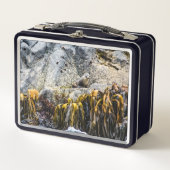 岩の上の若い毛皮のシール メタルランチボックス (正面)